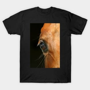 Horse eye close-up T-Shirt